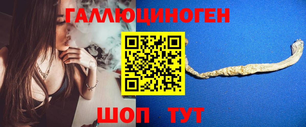 Галлюциногенные грибы Cubensis  Вход с VPN  Мелеуз 